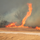 Illustration for article titled Terrifying Images Of Whirling Firenadoes From All Over The World